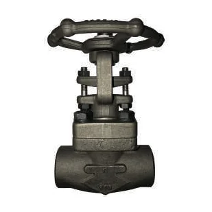 Ayvaz Gate Vana API 602 FGAV-10