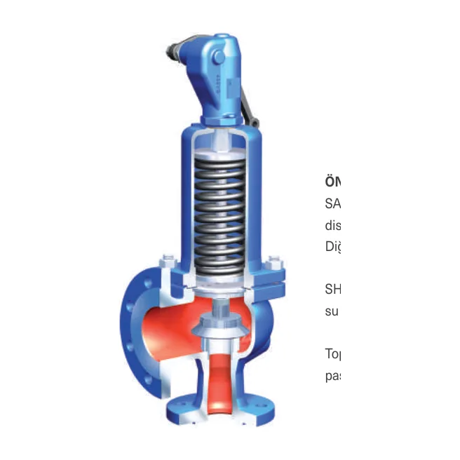 SAFE Fig. 55.901 / PN40 Tam Kalkışlı Emniyet Ventili Kapalı Kapak